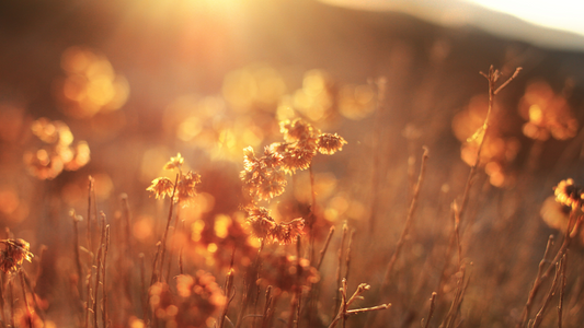 Cortisol and Modern Stress: How your body reacts to today’s pressure