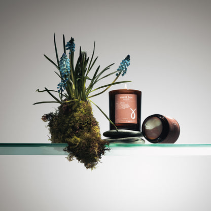 Soft Spring Duo