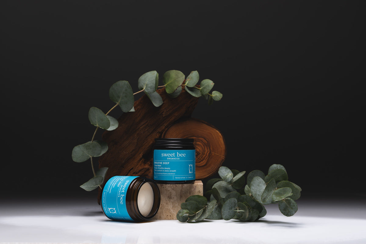 Open jar of Breathe Deep Cloud Balm with eucalyptus on a dark ground