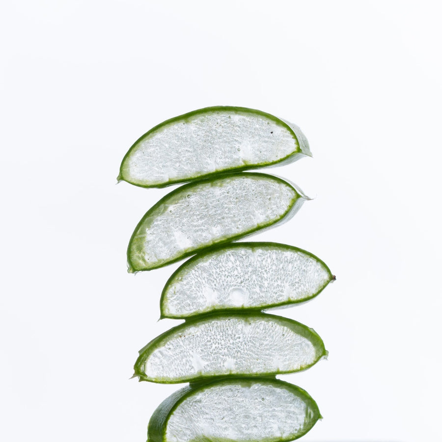 Slices of fresh aloe vera leaf against white